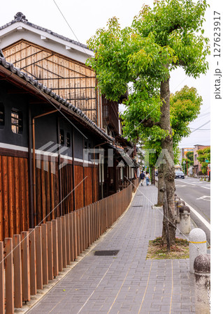 滋賀県近江八幡の水郷の初夏の風景 滋賀県近江八幡の水郷の初夏の風景 127623917