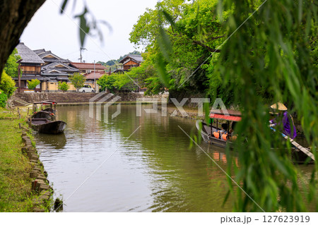 滋賀県近江八幡の水郷の初夏の風景 127623919