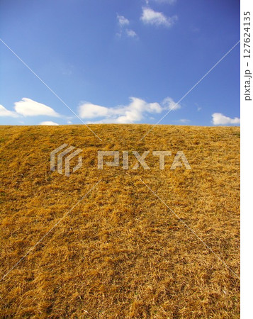 早春の除草された枯芝の江戸川土手と青空風景 早春の除草された枯芝の江戸川土手と青空風景 127624135
