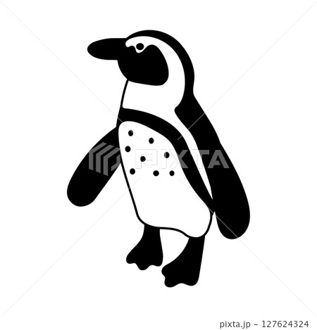 ケープペンギンのイラスト ケープペンギンのイラスト 127624324