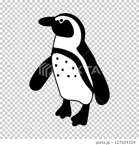 開普企鵝插圖 127624324