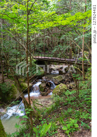 Bridge over the river on Nakasendo trail, Japan 127624481