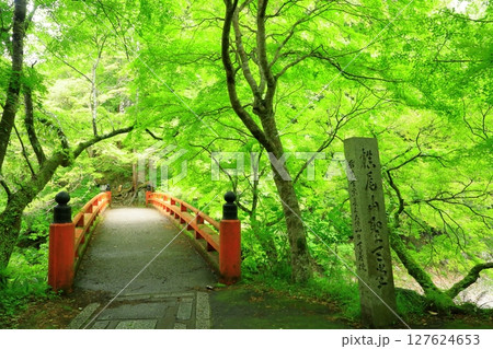 新緑の清滝川 渓谷美と指月橋 新緑の清滝川 渓谷美と指月橋 127624653