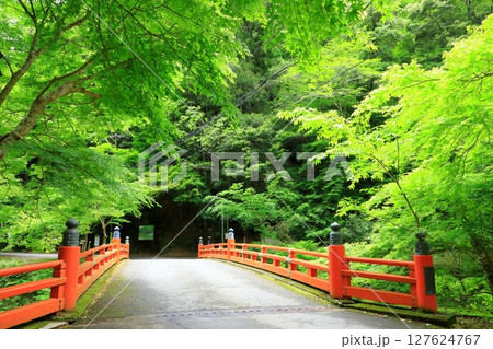 新緑の清滝川 渓谷美と高雄橋 新緑の清滝川 渓谷美と高雄橋 127624767