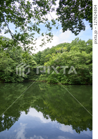 震生湖 堰止湖 6月 素材 【神奈川県 秦野市】 震生湖 堰止湖 6月 素材 【神奈川県 秦野市】 127624804