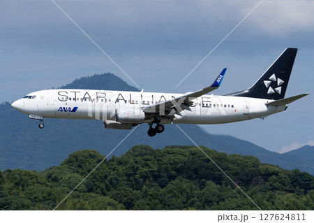 ANA JA51ANスターアライアンス塗装B77-800 127624811