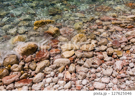 Clear coastal water with submerged algae and colorful rocks. Marine textures, biodiversity, and natural coastal ecosystem 127625046