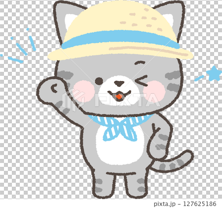 一隻虎斑貓用涼爽的毛巾和帽子抵禦高溫 一隻虎斑貓用涼爽的毛巾和帽子抵禦高溫 127625186