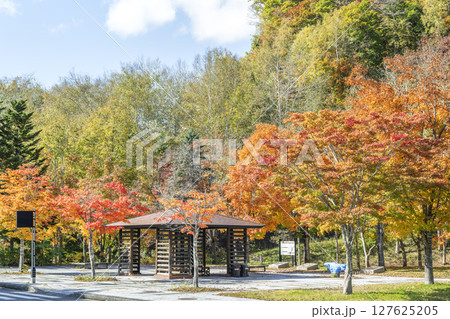渓流口ゲート周辺の紅葉　滝野すずらん丘陵公園　札幌市 127625205