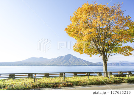 支笏湖の秋、イタヤカエデ、樽前山、風不死岳　千歳市 127625219