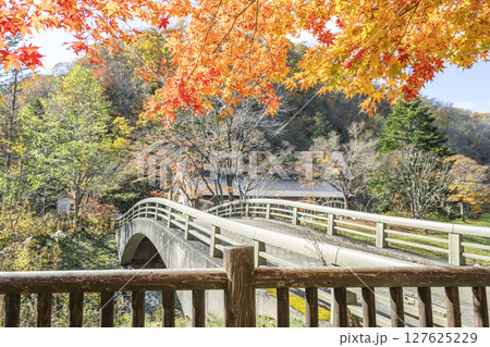 不老橋と紅葉 滝野すずらん丘陵公園 札幌市 不老橋と紅葉 滝野すずらん丘陵公園 札幌市 127625229