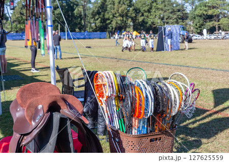 Polo Cross Equipment Field Players Landscape 127625559