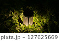 79 127625669