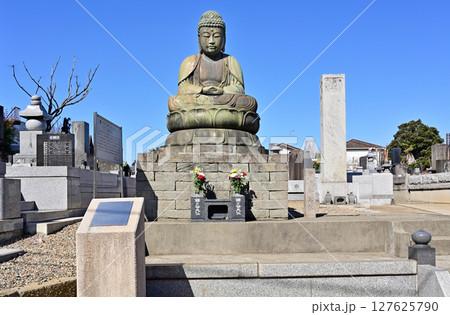 鎌ヶ谷散歩:鎌ヶ谷大仏 千葉県鎌ケ谷市鎌ケ谷 鎌ヶ谷散歩:鎌ヶ谷大仏 千葉県鎌ケ谷市鎌ケ谷 127625790