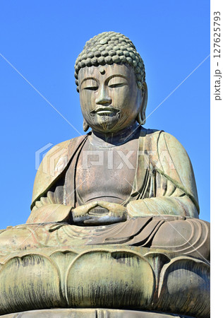 鎌ヶ谷散歩：鎌ヶ谷大仏　千葉県鎌ケ谷市鎌ケ谷 127625793