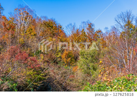 山形 紅葉に染まる天元台高原 127625818