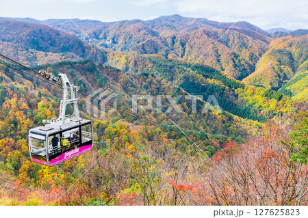 山形 紅葉に染まる天元台高原 127625823