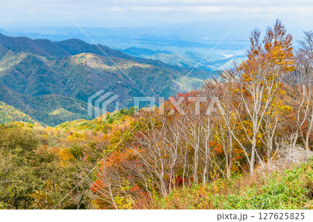 山形 紅葉に染まる天元台高原 127625825