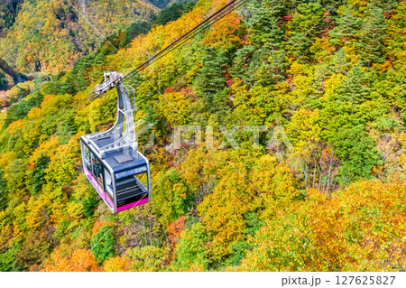 山形 紅葉に染まる天元台高原 127625827