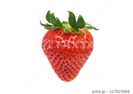 【苺】 (深度合成) 127625908