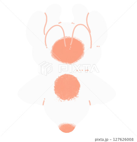 クリオネのバッカルコーン 127626008