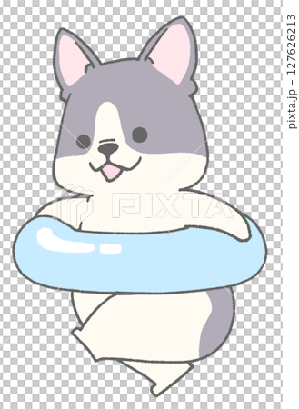 うきわを持って走っているフレンチブルドッグ(パイド) 127626213