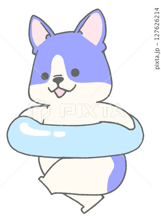 うきわを持って走っているフレンチブルドッグ(パイド・青色) 127626214