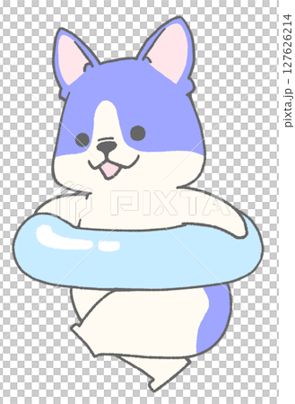 うきわを持って走っているフレンチブルドッグ(パイド・青色) 127626214