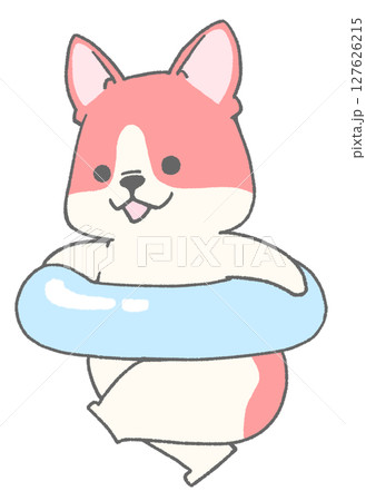 うきわを持って走っているフレンチブルドッグ(パイド・赤色) 127626215
