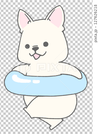 法國鬥牛犬（白色）帶著花車奔跑 127626218