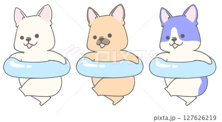 うきわを持って走っているフレンチブルドッグ3種 127626219