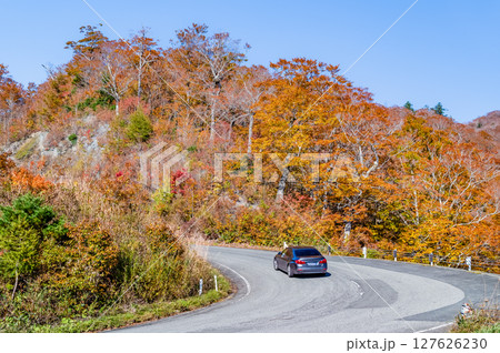 紅葉に染まる西吾妻スカイバレー　東鉢山七曲り 127626230