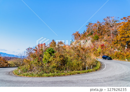 紅葉に染まる西吾妻スカイバレー　東鉢山七曲り 127626235