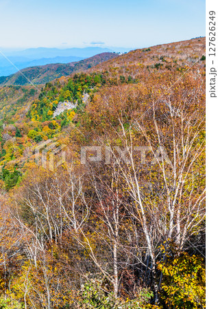 西吾妻スカイバレーから望む紅葉 127626249