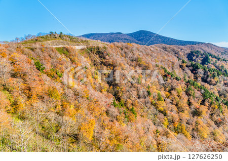 西吾妻スカイバレーから望む紅葉 127626250