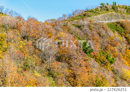 西吾妻スカイバレーから望む紅葉 西吾妻スカイバレーから望む紅葉 127626251