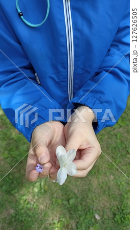 Child hands holding small spring flowers. The beauty of nature captured in a moment Child hands holding small spring flowers. The beauty of nature captured in a moment 127626505