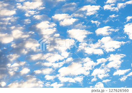 晴れた夕方の空に現れたひつじ雲 晴れた夕方の空に現れたひつじ雲 127626560