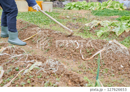 畑作業をする女性　田舎暮らし　家庭菜園 127626653
