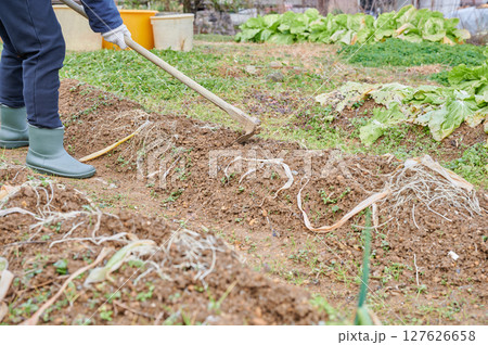 畑作業をする女性　田舎暮らし　家庭菜園 127626658