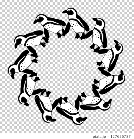 Cape penguin frame Cape penguin frame 127626787