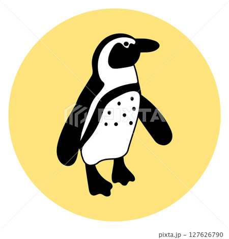 ケープペンギンのイラスト アイコン ケープペンギンのイラスト アイコン 127626790