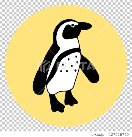 Cape penguin illustration icon 127626790