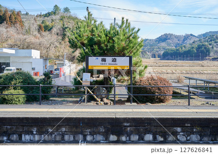 ほうれん草 畑 田舎 野菜 ほうれん草 畑 田舎 野菜 127626841