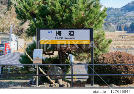 ほうれん草　畑　田舎　野菜 127626844