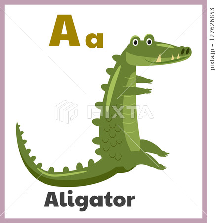 Alligator letter A english alphabet card children Alligator letter A english alphabet card children 127626853