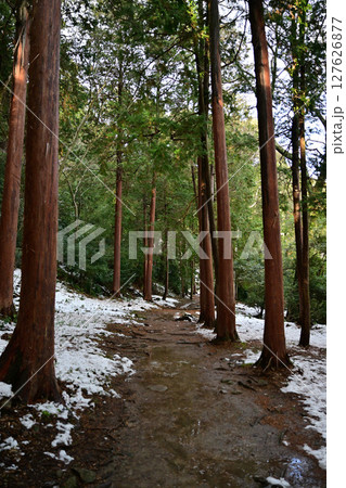 滋賀県　安土城跡 127626877