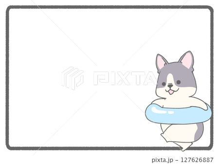 うきわを持って走るフレンチブルドッグのフレーム背景(パイド) 127626887