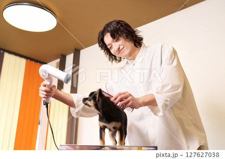 犬の毛を整える若手男性トリマー 犬の毛を整える若手男性トリマー 127627038