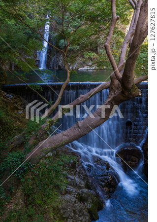 秋の兵庫県神戸市 布引の滝 雌滝 秋の兵庫県神戸市 布引の滝 雌滝 127627815